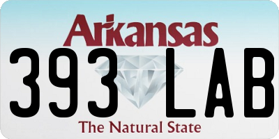 AR license plate 393LAB