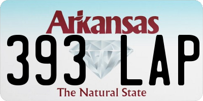 AR license plate 393LAP