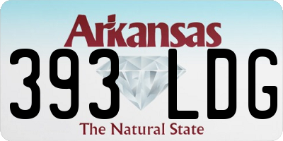 AR license plate 393LDG