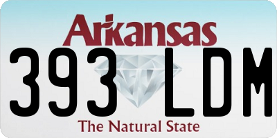AR license plate 393LDM