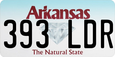 AR license plate 393LDR