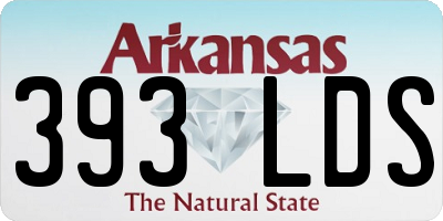 AR license plate 393LDS