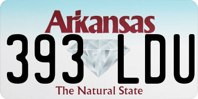AR license plate 393LDU