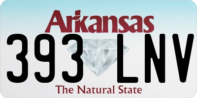 AR license plate 393LNV