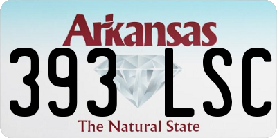 AR license plate 393LSC