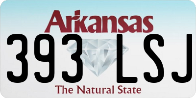 AR license plate 393LSJ
