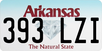 AR license plate 393LZI