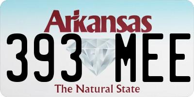 AR license plate 393MEE