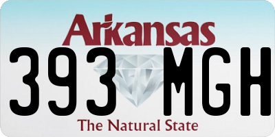 AR license plate 393MGH