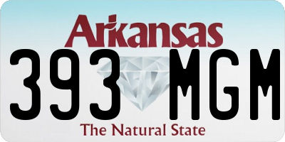 AR license plate 393MGM