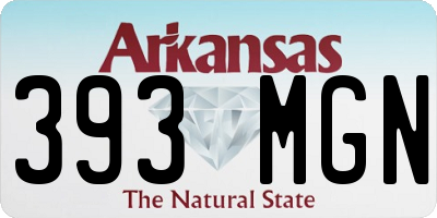 AR license plate 393MGN