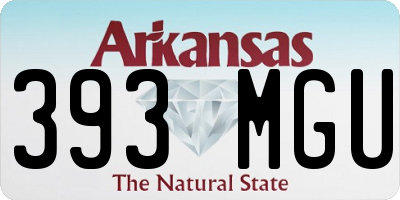 AR license plate 393MGU