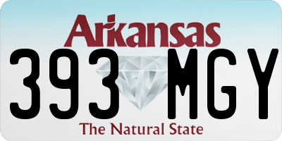 AR license plate 393MGY