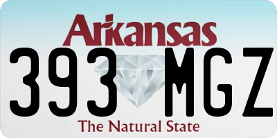 AR license plate 393MGZ