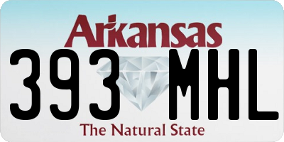 AR license plate 393MHL