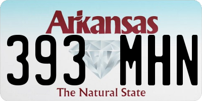 AR license plate 393MHN