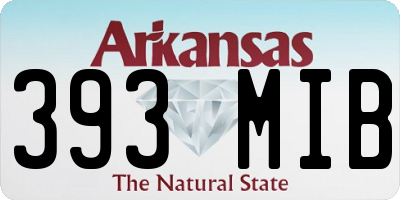 AR license plate 393MIB