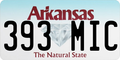 AR license plate 393MIC