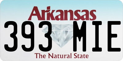AR license plate 393MIE
