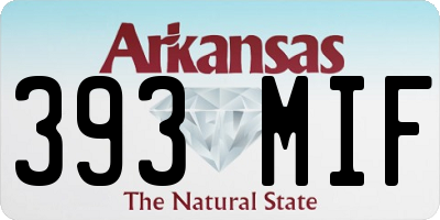 AR license plate 393MIF