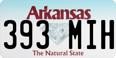 AR license plate 393MIH