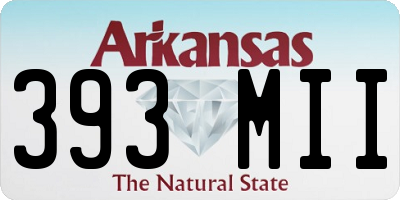 AR license plate 393MII