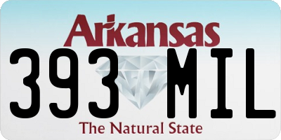 AR license plate 393MIL