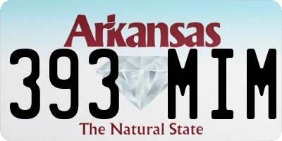AR license plate 393MIM