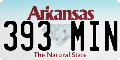 AR license plate 393MIN