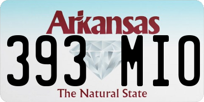 AR license plate 393MIO