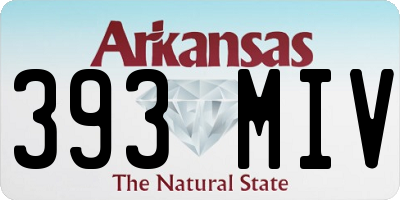 AR license plate 393MIV