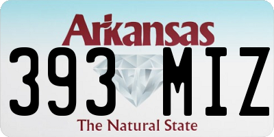 AR license plate 393MIZ
