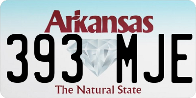 AR license plate 393MJE