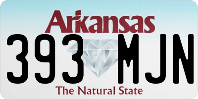 AR license plate 393MJN