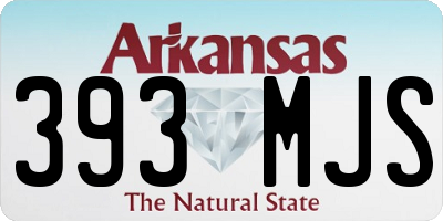 AR license plate 393MJS