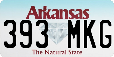 AR license plate 393MKG