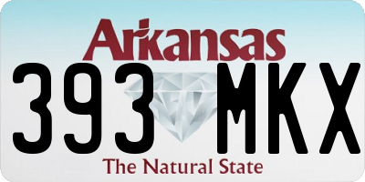 AR license plate 393MKX