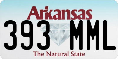 AR license plate 393MML