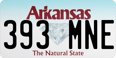 AR license plate 393MNE