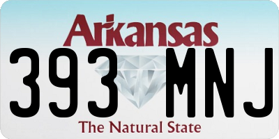 AR license plate 393MNJ