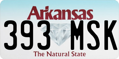 AR license plate 393MSK