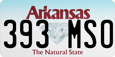 AR license plate 393MSO