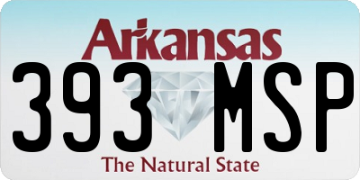 AR license plate 393MSP