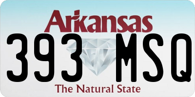 AR license plate 393MSQ