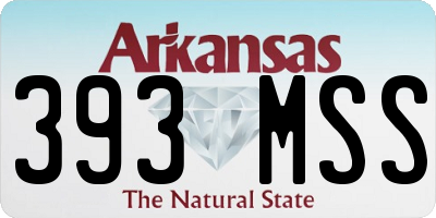AR license plate 393MSS