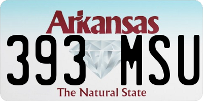 AR license plate 393MSU