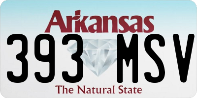 AR license plate 393MSV