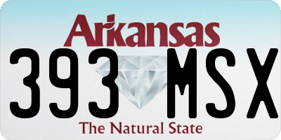 AR license plate 393MSX