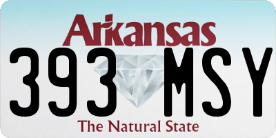 AR license plate 393MSY
