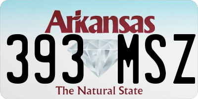 AR license plate 393MSZ